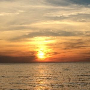 Meet your Posher, Mahila